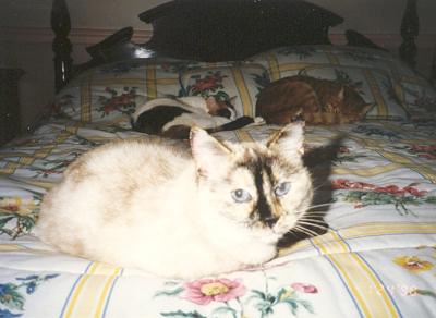 Angel, Phoebe, & Mario