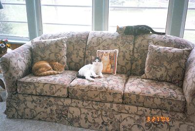 Mario, Domino & Louie