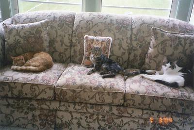 Mario, Louie & Domino