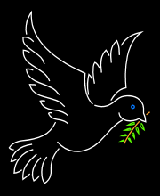 Peace Dove