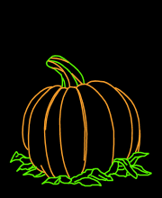 Pumpkin