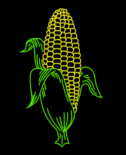 Corn
