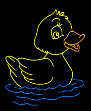 Duck