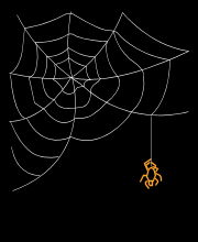 Spider Web and Spider