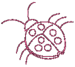 Ladybug