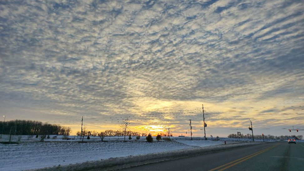 Roadway Sunset. By Zack Campbell