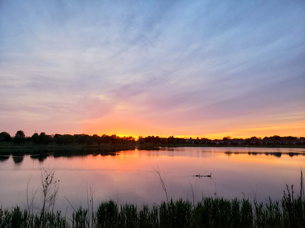 White Oak Park. By Zack Campbell