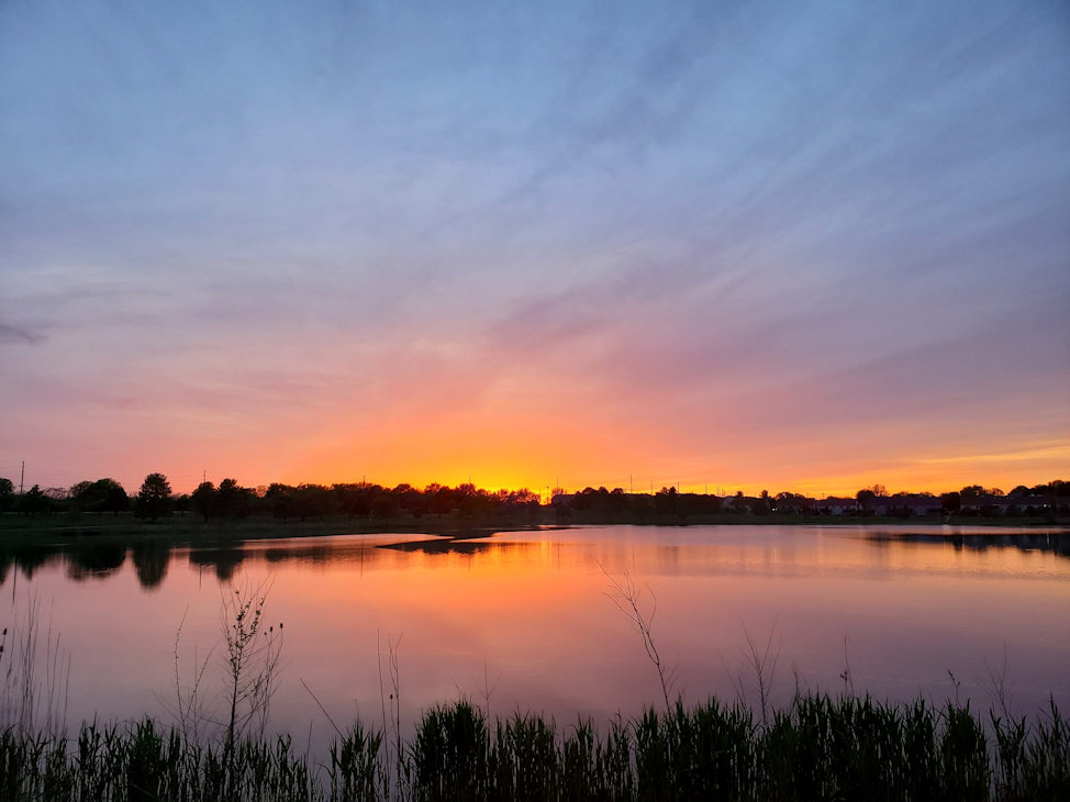 White Oak Park. By Zack Campbell
