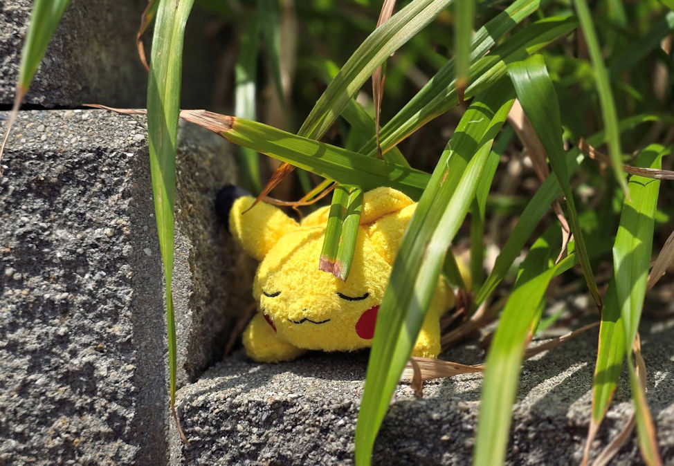 Pikachu! By Zack Campbell