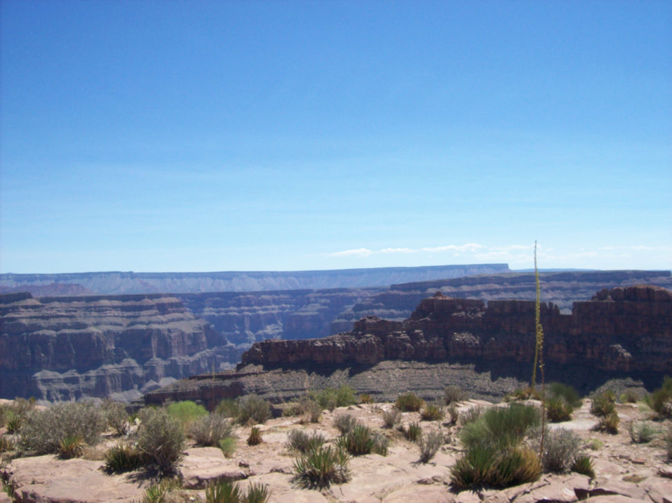 Grand Canyon. By Zack Campbell