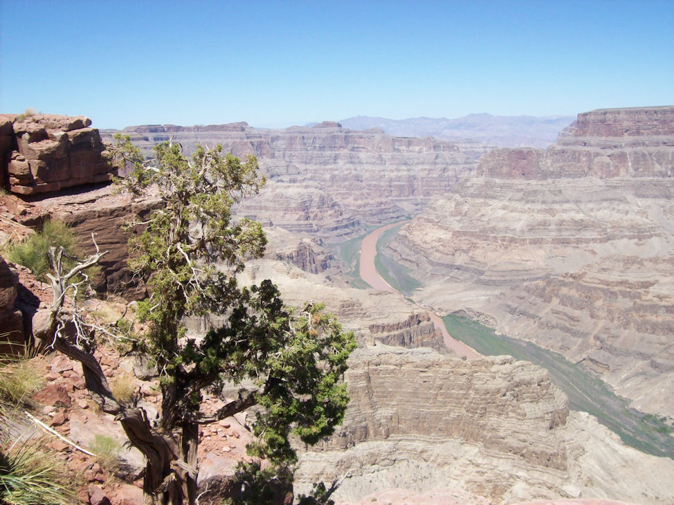 Grand Canyon. By Zack Campbell