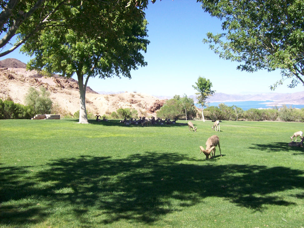 Park. By Zack Campbell