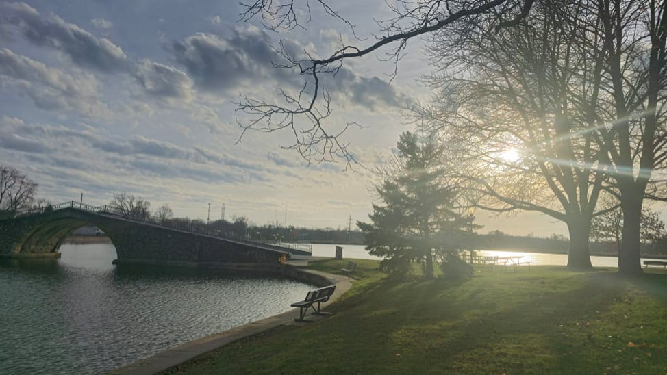 Sun in the Trees at Miller Park. By Zack Campbell