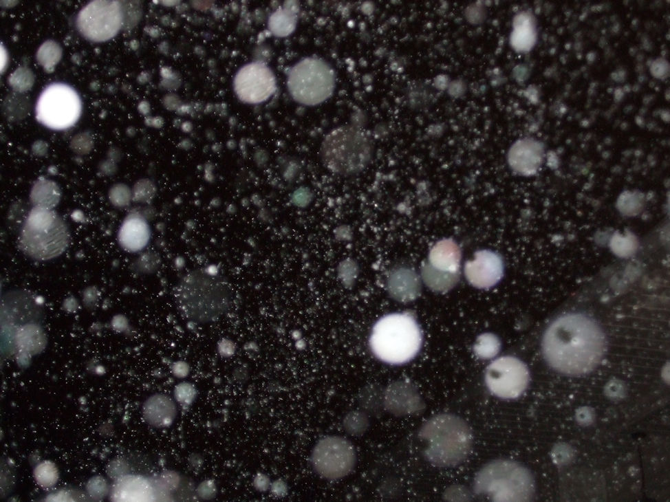 Heavy Night Snow. By Zack Campbell
