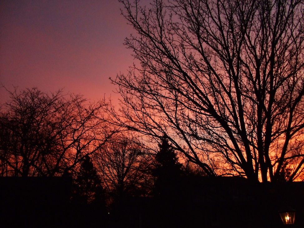 Evening Sunset Sky. By Zack Campbell