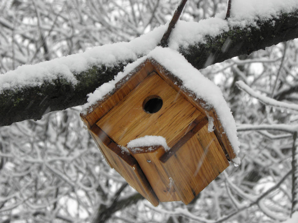 Winter's Birdhouse. By Zack Campbell