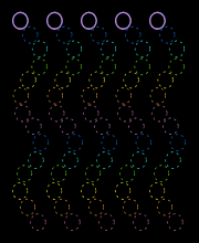 Squiggle Lines