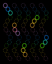 Squiggle Worms
