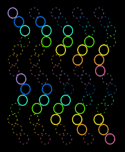 Squiggle Worms
