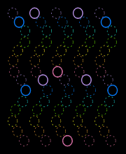 Squiggle Lines