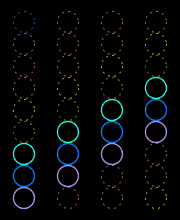 Wormy Circles