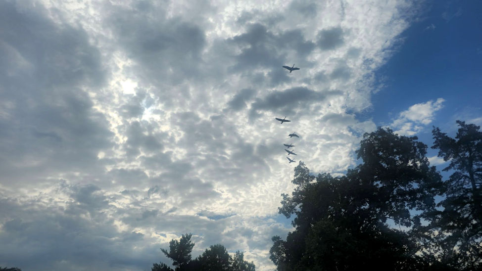 Geese in the Sky! By Zack Campbell